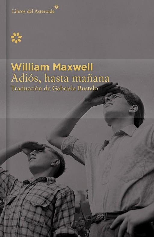 ADIOS HASTA MAÑANA - ED.LIMITADA | 9788416213405 | MAXWELL,WILLIAM