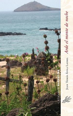 ARDE EL MONTE DE NOCHE | 9788483591277 | LAUREL