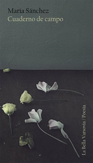 CUADERNO DE CAMPO | 9788494500763 | SÁNCHEZ RODRÍGUEZ, MARÍA