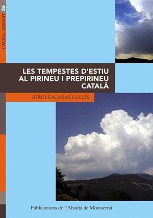 LES TEMPESTES D'ESTIU AL PIRINEU | 9788484155287 | LLUIS