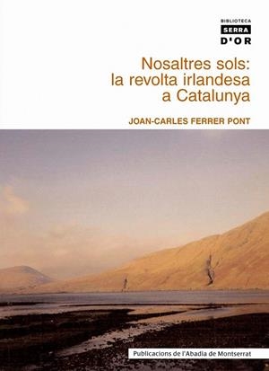 NOSALTRES SOLS | 9788484159131 | FERRER PONT, JOAN CARLES
