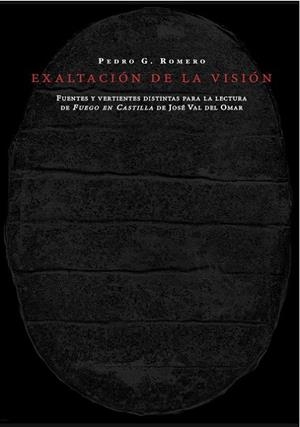 EXALTACIÓN DE LA VISIÓN | 9788494307300 | ROMERO