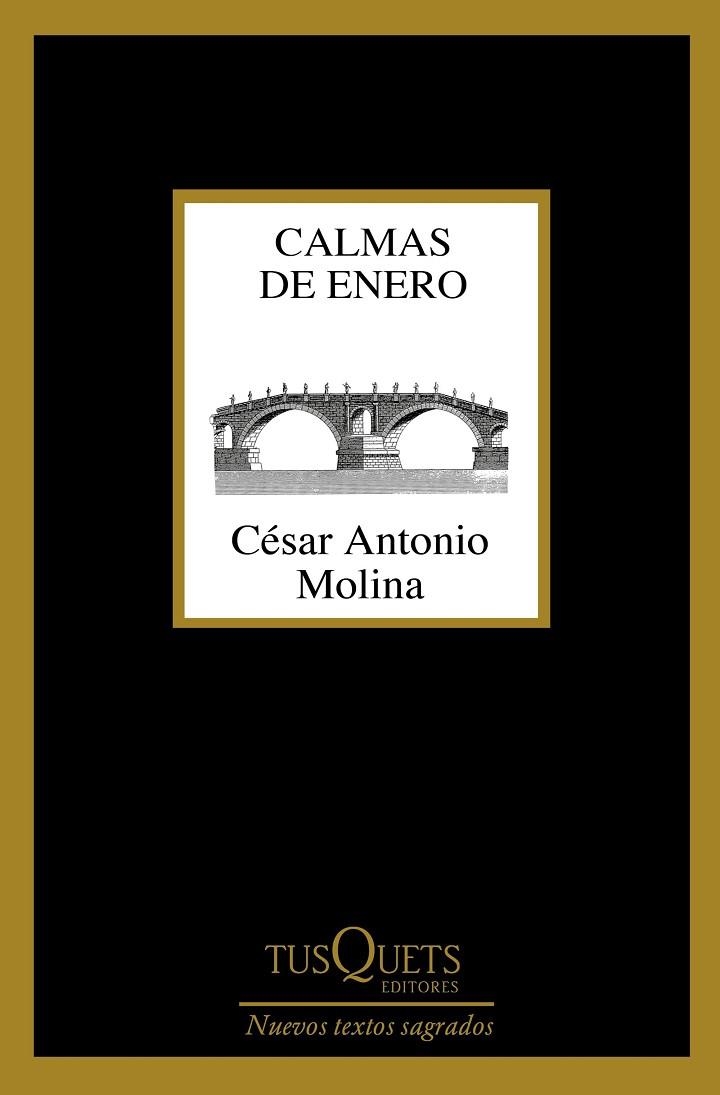 CALMAS DE ENERO | 9788490664704 | MOLINA, CéSAR ANTONIO