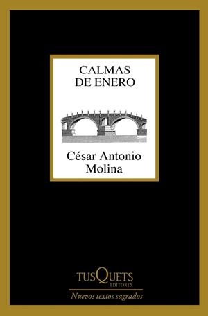 CALMAS DE ENERO | 9788490664704 | MOLINA, CéSAR ANTONIO