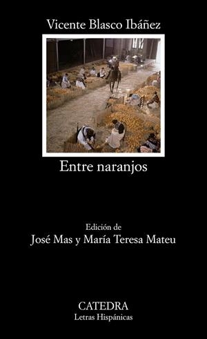 ENTRE NARANJOS | 9788437615851 | IBÁÑEZ