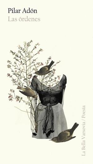 ORDENES,LAS | 9788494654497 | PILAR ADÓN