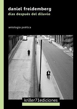 DÍAS DESPUÉS DEL DILUVIO | 9788494808913 | DANIEL FREIDEMBERG 