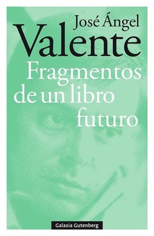 FRAGMENTOS DE UN LIBRO FUTURO- RÚSTEGA | 9788417747121 | VALENTE, JOSÉ ÁNGEL
