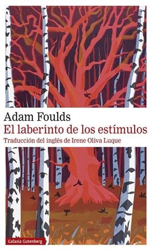 EL LABERINTO DE LOS ESTÍMULOS | 9788417747305 | FOULDS, ADAM