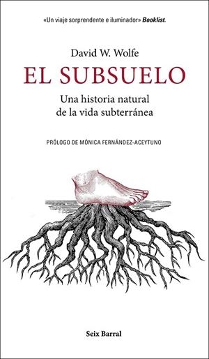 EL SUBSUELO | 9788432235603 | WOLFE, DAVID W.