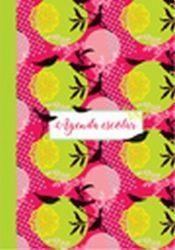 AGENDA 2020 PERPETUA PÁJAROS | 7798071445037 | VVAA