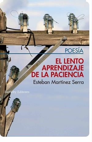 LENTO APRENDIZAJE DE LA PACIENCIA,EL | 9788412013238 | MARTINEZ SERRA ESTEBAN
