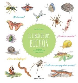 EL LIBRO DE LOS BICHOS | 9788417800413 | TORDJMAN, NATHALIE
