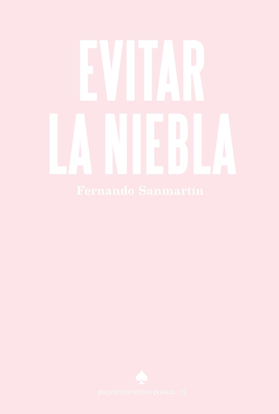EVITAR LA NIEBLA | 9788412511529 | SANMARTÍN, FERNANDO