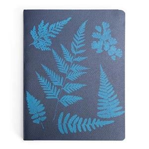 DETENTE, INSTANTE. UNA HISTORIA DE LA FOTOGRAFÍA | 9788470756726 | VV.AA.