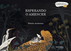 ESPERANDO O AMENCER | 9788413431772 | ANCHORENA, FABIOLA