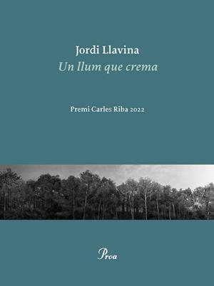 UN LLUM QUE CREMA | 9788475889979 | LLAVINA, JORDI