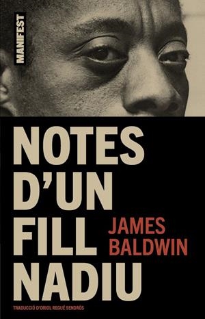 NOTES D´UN FILL NADIU | 9788410344075 | BALDWIN, JAMES