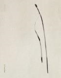 NEEDLES | 9788410290044 | TXEMA YESTE