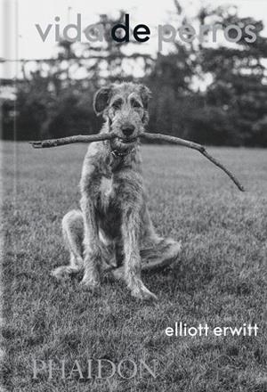 ESP VIDA DE PERROS | 9781838669744 | ERWITT, ELLIOTT/WODEHOUSE, P.G.
