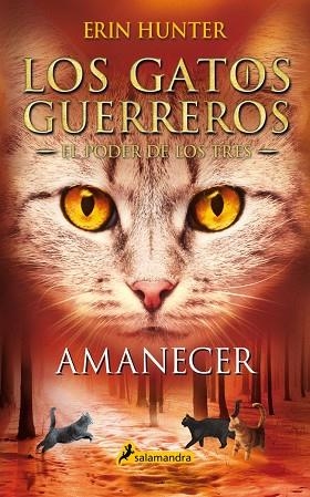 LOS GATOS GUERREROS | EL PODER DE LOS TRES 6 - AMANECER | 9788418174056 | HUNTER, ERIN