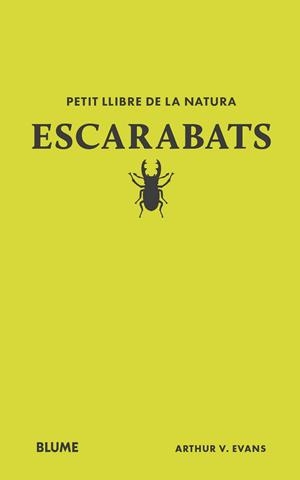 PETIT LLIBRE DE LA NATURA. ESCARABATS | 9788410268746 | EVANS, ARTHUR V