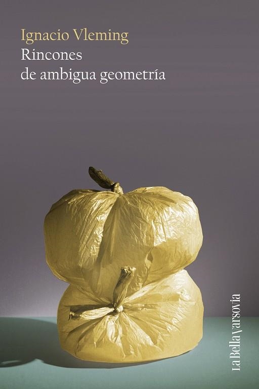 RINCONES DE AMBIGUA GEOMETRÍA | 9788433929402 | VLEMING, IGNACIO