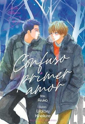 CONFUSO PRIMER AMOR 4 | 9788419195739 | ARUKO/HINEKURE, WATARU