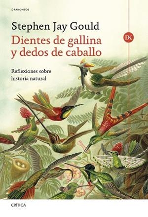 DIENTES DE GALLINA Y DEDOS DE CABALLO | 9788491997849 | GOULD, STEPHEN JAY