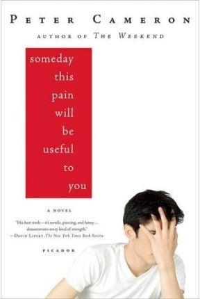 SOMEDAY THIS PAIN WILL BE USEFUL FOR YOU | 9780312428167 | CAMERON, PETER