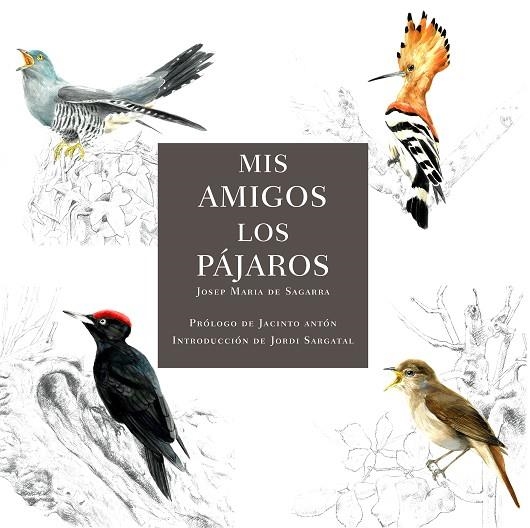 MIS AMIGOS LOS PÁJAROS | 9788412949032 | DE SAGARRA, JOSEP MARIA