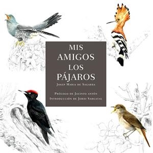 MIS AMIGOS LOS PÁJAROS | 9788412949032 | DE SAGARRA, JOSEP MARIA