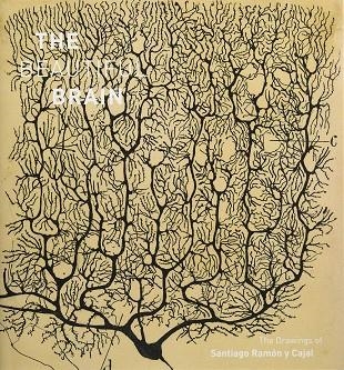 BEAUTIFUL BRAIN, THE - THE DRAWINGS OF SANTIAGO RAMÓN Y CAJAL (FEBRERO 2017) | 9781419722271 | , VVAA