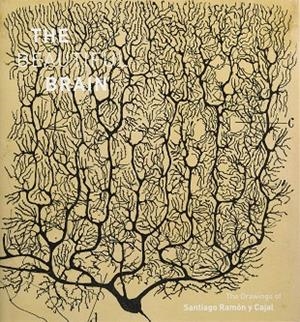 BEAUTIFUL BRAIN, THE - THE DRAWINGS OF SANTIAGO RAMÓN Y CAJAL (FEBRERO 2017) | 9781419722271 | , VVAA
