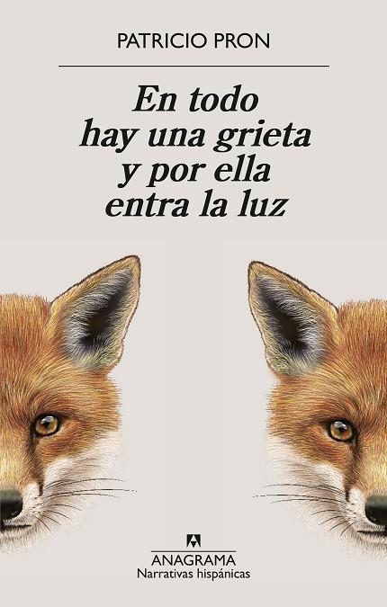 EN TODO HAY UNA GRIETA Y POR ELLA ENTRA LA LUZ | 9788433949158 | PRON, PATRICIO