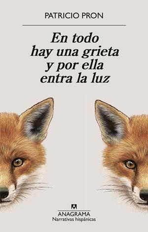 EN TODO HAY UNA GRIETA Y POR ELLA ENTRA LA LUZ | 9788433949158 | PRON, PATRICIO
