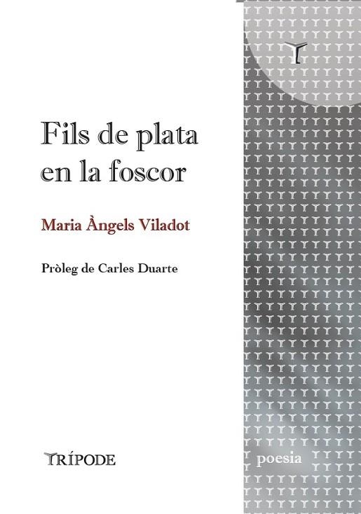 FILS DE PLATA EN LA FOSCOR | 9791399090352 | VILADOT, MARIA ÀNGELS