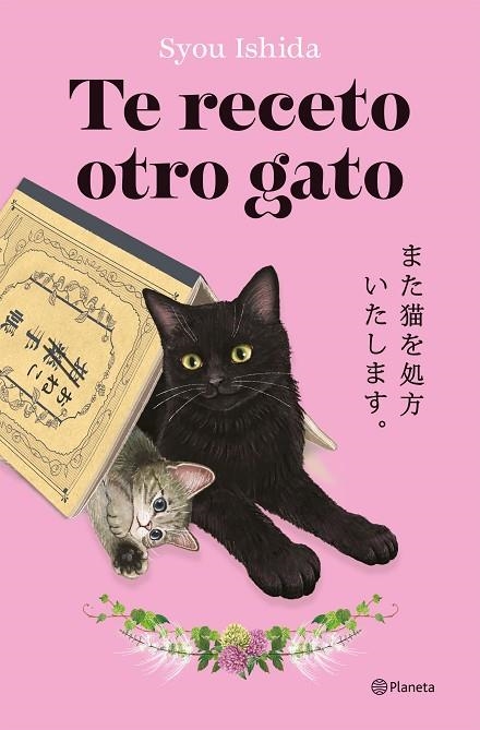 TE RECETO OTRO GATO | 9788408318705 | ISHIDA, SYOU