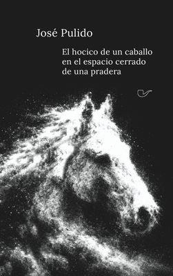 EL HOCICO DE UN CABALLO EN EL ESPACIO CERRADO DE UNA PRADERA | 9791399165616 | PULIDO TINOCO, JOSÉ