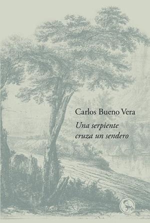 UNA SERPIENTE CRUZA UN SENDERO | 9788418782855 | BUENO VERA, CARLOS