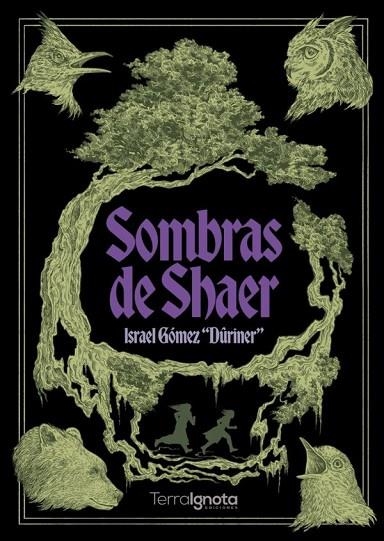 SOMBRAS DE SHAER | 9791388194375 | ISRAEL GOMEZ