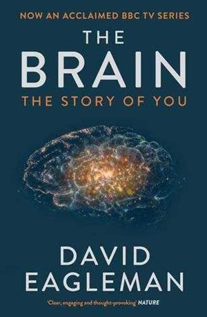THE BRAIN | 9781782116615 | EAGLEMAN, DAVID EAGLEMAN