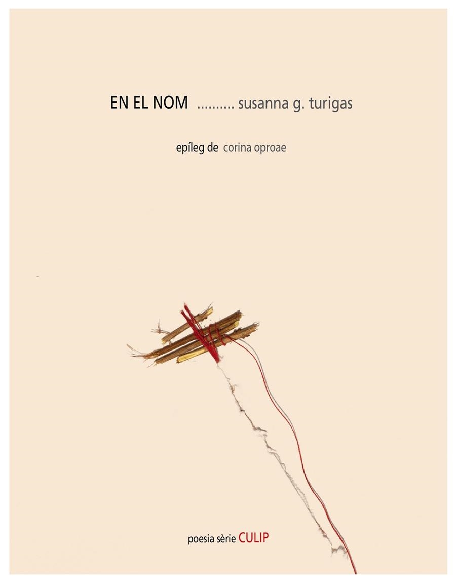 EN EL NOM | 9788481280968 | GONZÁLEZ TURIGAS, SUSANNA