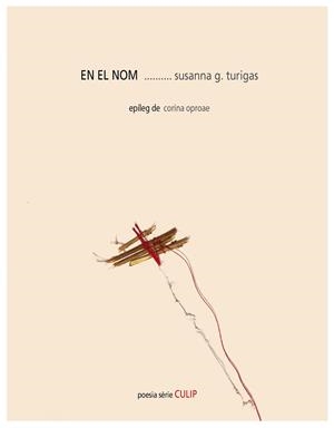 EN EL NOM | 9788481280968 | GONZÁLEZ TURIGAS, SUSANNA