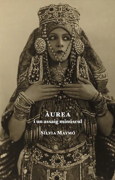 AUREA I UN ASSAIG MINSCUL | 9791399150827 | YMO CAPDEVILA, SILVIA ES