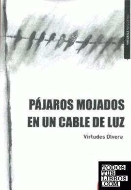 PÁJAROS MOJADOS EN UN CABLE DE LUZ | 9788412518115 | OLVERA, VIRTUDES