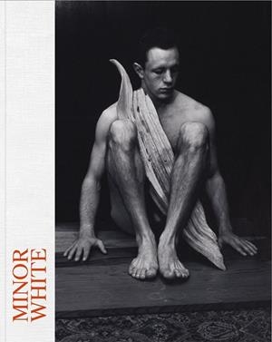 MINOR WHITE (CATALÁN) | 9788498449310 | DE LUCAS GONZÁLEZ-VALLES, LUC¡A / GOLLONET CARNICERO, CARLOS / , V