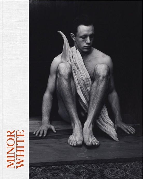 MINOR WHITE | 9788498449303 | DE LUCAS GONZÁLEZ-VALLES, LUC¡A / GOLLONET CARNICERO, CARLOS / , V