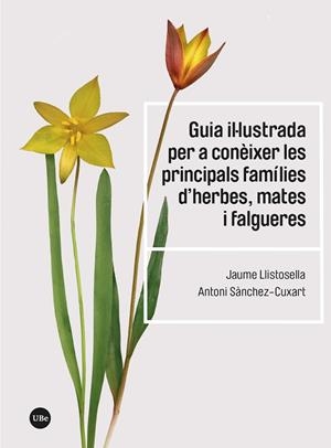 GUIA IL·LUSTRADA PER A CONÈIXER LES PRINCIPALS FAMÍLIES D’HERBES, MATES I FALGUE | 9788410502192 | LLISTOSELLA, JAUME/SÀNCHEZ-CUXART, ANTONI