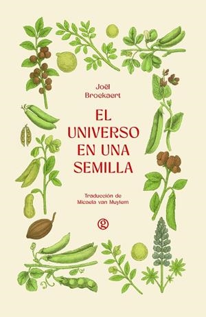 EL UNIVERSO EN UNA SEMILLA | 9788419990839 | BROEKAERT, JOËL
